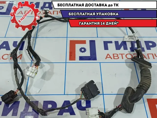 Проводка двери задней левой Hyundai Creta 91650-M0010.