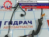 Проводка двери задней правой Hyundai Creta 91660-M0010.