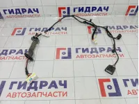 Проводка двери задней левой Hyundai Creta 91650-M0010