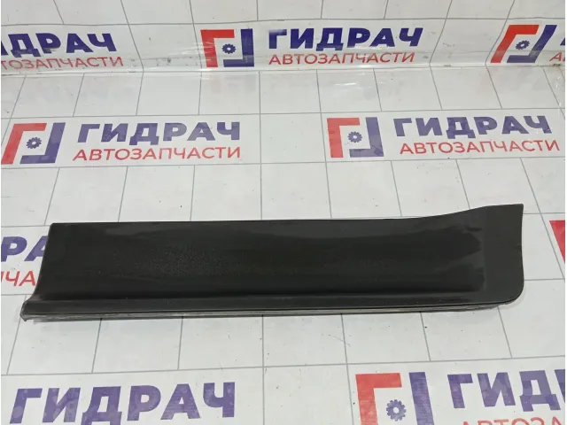 Накладка двери задней левой Hyundai Creta 87731-M0000