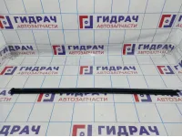 Уплотнитель стекла двери передней левой Hyundai Elantra (MD) 82231-3X500