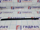 Уплотнитель стекла двери задней левой Hyundai Elantra (MD) 83231-3X500