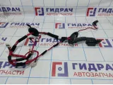 Проводка двери передней левой Hyundai Elantra (MD) 91605-3X130