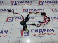 Проводка двери задней левой Hyundai Elantra (MD) 91651-3X040