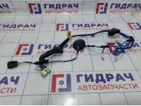 Проводка двери задней правой Hyundai Elantra (MD) 91661-3X040