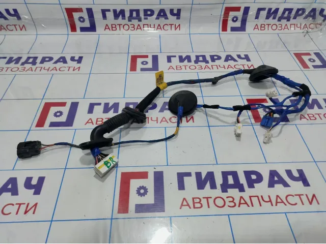 Проводка двери задней правой Hyundai Elantra (MD) 91661-3X040
