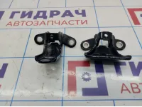 Петли двери задней левой Hyundai Elantra (MD)