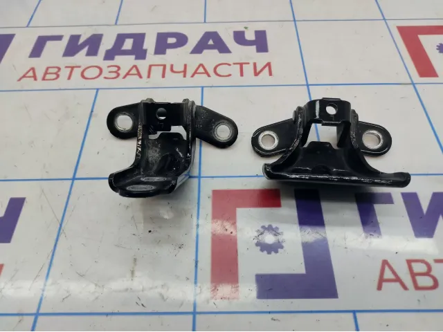 Петли двери задней левой Hyundai Elantra (MD)