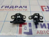 Петли двери задней правой Hyundai Elantra (MD)