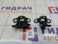 Петли двери задней правой Hyundai Elantra (MD)