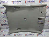 Обшивка потолка Hyundai Elantra (MD) 853133X141TX