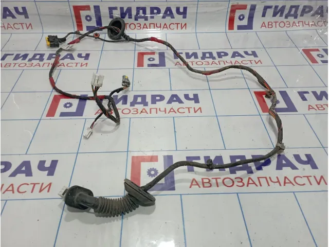 Проводка двери задней левой Hyundai Elantra (HD) 91650-2H020