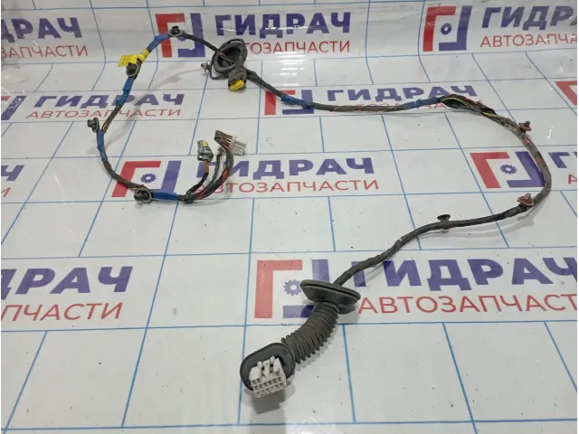 Проводка двери задней правой Hyundai Elantra (HD) 91660-2H020