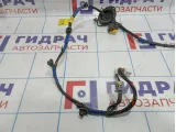 Проводка двери задней правой Hyundai Elantra (HD) 91660-2H020