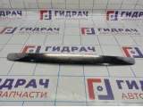 Накладка капота Hyundai Elantra (XD) 86351-2D510