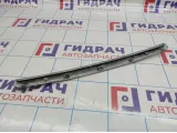 Накладка капота Hyundai Elantra (XD) 86351-2D510