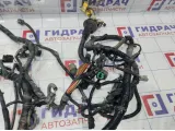 Проводка подкапотная Hyundai Elantra (XD)