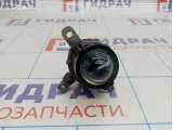 Фара противотуманная левая Hyundai Elantra (XD) 92201-2D500
