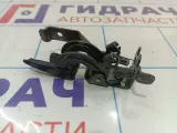 Ручка открывания багажника Hyundai Elantra (XD) 81570-2D000