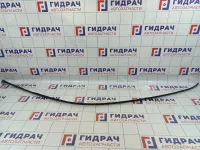 Молдинг крыши левый Hyundai Elantra (XD) 86131-2D000
