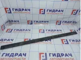 Молдинг двери передней правой Hyundai Elantra (XD) 87712-2D200