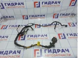 Проводка двери передней левой Hyundai Elantra (XD) 91601-2D021