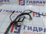 Проводка двери передней левой Hyundai Elantra (XD) 91601-2D021