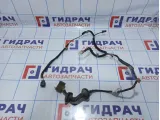 Проводка двери задней правой Hyundai Elantra (XD) 91641-2D020