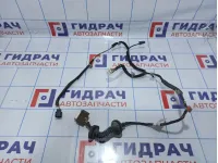 Проводка двери задней правой Hyundai Elantra (XD) 91641-2D020