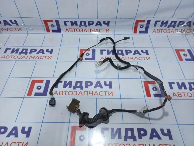 Проводка двери задней правой Hyundai Elantra (XD) 91641-2D020