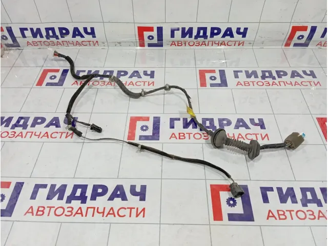 Проводка двери задней левой Hyundai Elantra 916312D020