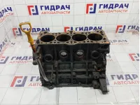 Блок цилиндров Hyundai Elantra