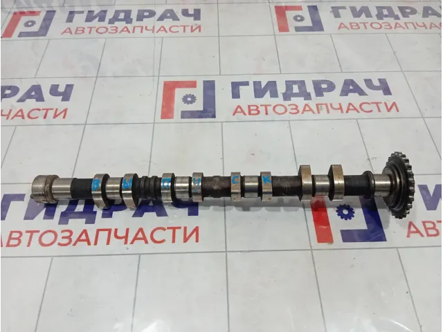 Распредвал выпускной Hyundai Elantra