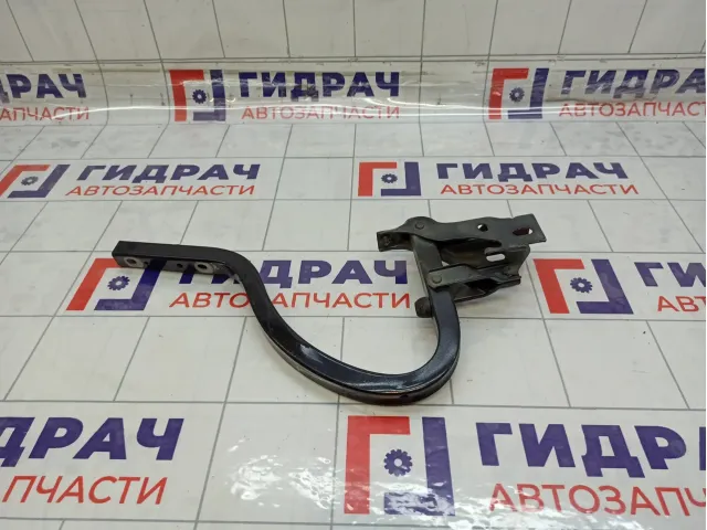 Петля багажника правая Hyundai Elantra