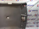 Обшивка потолка Hyundai Elantra 853012D200