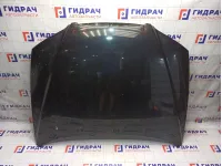 Капот Hyundai Elantra 664002D520