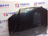Капот Hyundai Elantra 664002D520