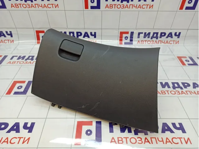 Бардачок Hyundai Elantra (HD) 845102H2509Y