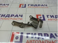 Петля капота правая Hyundai Elantra (HD) 79120-2H000
