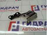 Петля капота правая Hyundai Elantra (HD) 79120-2H000