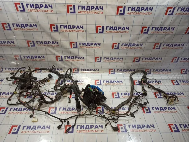 Проводка подкапотная Hyundai Elantra (HD)