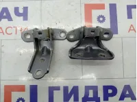 Петли двери задняя левая Hyundai Elantra