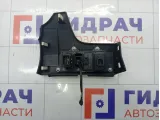 Накладка панели приборов с блоком управления освещением Hyundai Elantra 847313X000