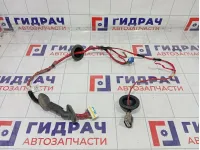 Проводка двери задней левой Hyundai Elantra 916513X030
