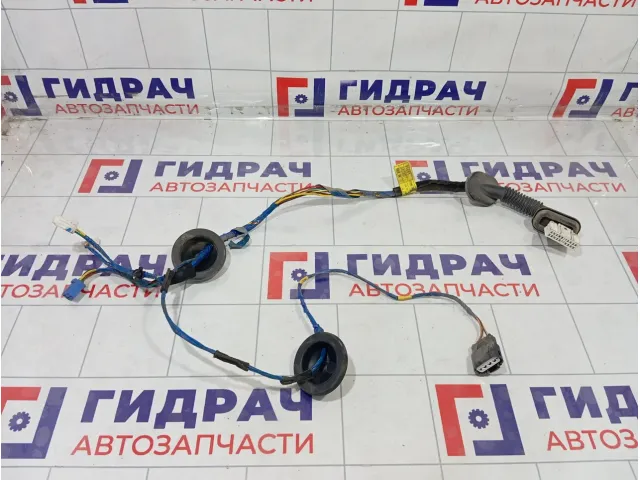 Проводка двери задней правой Hyundai Elantra 916613X030