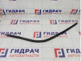 Уплотнитель стекла переднего левого Hyundai Elantra 822313X500