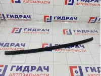 Уплотнитель стекла заднего левого Hyundai Elantra 832313X500