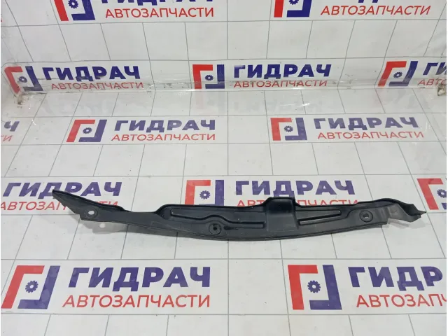 Пыльник крыла переднего левого Hyundai Elantra 841163X000