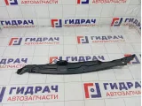 Пыльник крыла переднего правого Hyundai Elantra 841263X000
