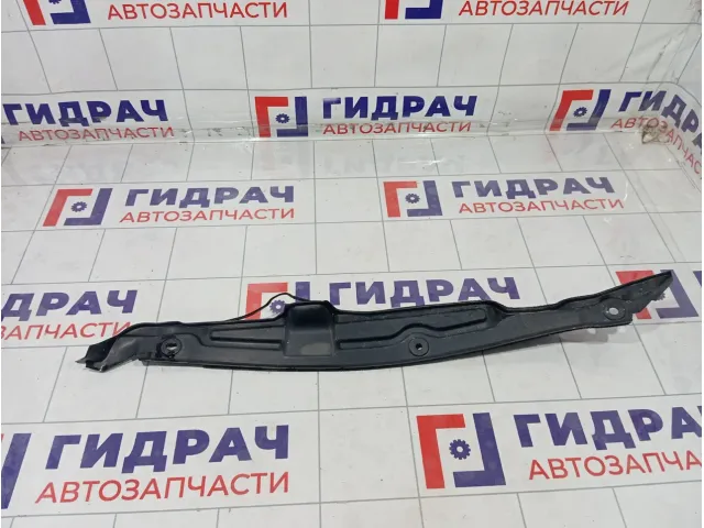Пыльник крыла переднего правого Hyundai Elantra 841263X000